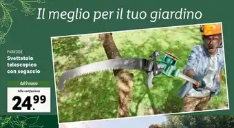 Parkside Svettatoio telescopico con segaccio