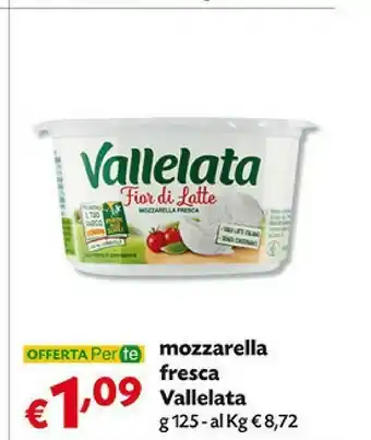 Pam Vallelata Mozzarella Fresca 125 G offerta