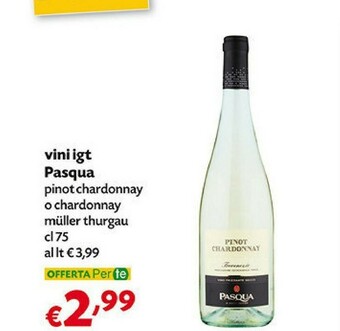 Pam Pasqua Vini Igt offerta