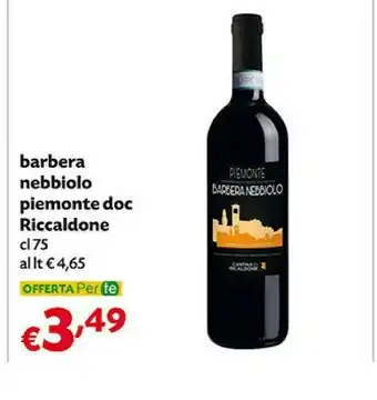 Pam Barbera Nebbiolo Piemonte Doc Riccaldone offerta
