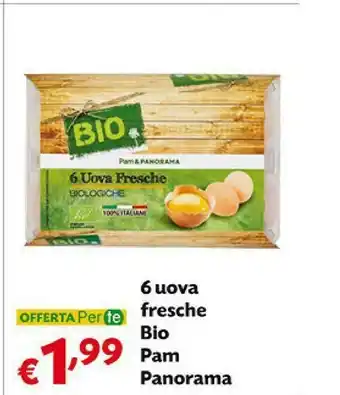 Pam Pam & Panorama - 6 Uova Fresche Biologiche offerta