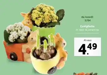 Lidl Coniglietta in vaso di ceramica offerta