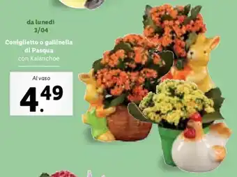 Coniglietto o gallinella di Pasqua