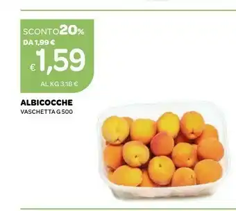 Ekom Albicocche Vaschetta 500g offerta