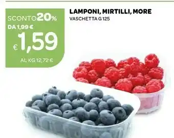 Ekom Lamponi , Mirtilli , Vaschetta 125g offerta