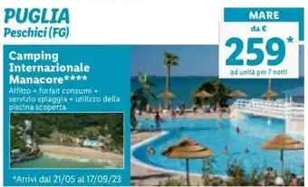 Lidl Puglia Peschini(FG) Camping Internazionale Manacore**** offerta