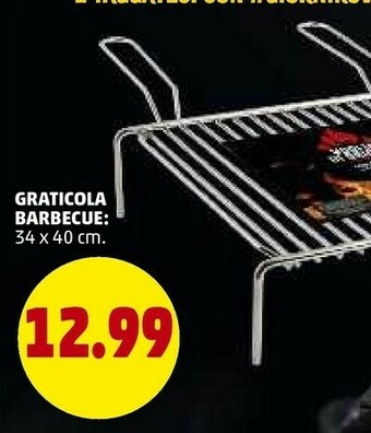 PENNY Graticola Barbecue 34 X 40 Cm offerta