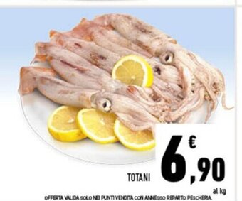 Conad Totani offerta