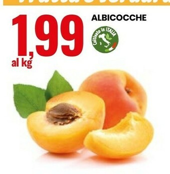 Eurospin Albicocche offerta