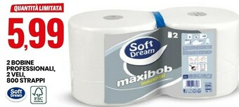 Eurospin Soft Dream 2 Bobine Professionali 2 Veli 800 Strappi offerta