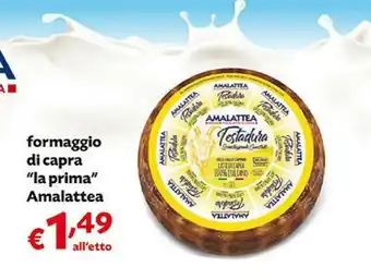 Pam Amalattea Formaggio Di Capra offerta
