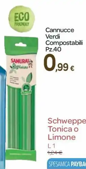 Carrefour Cannucce Verdi Compostabili 40pz. offerta