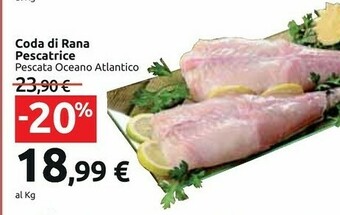 Carrefour Market Coda Di Rana Pescatrice offerta