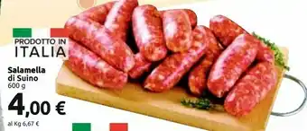 Carrefour Salamella Di Suino offerta