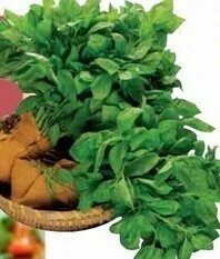 Carrefour Basilico Bouquet offerta