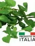 Carrefour Menta Confezione offerta