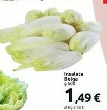 Carrefour Insalata Belga offerta