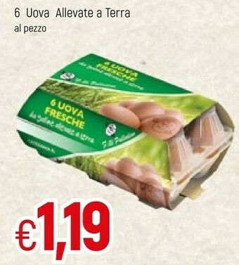 Famila 6 Uova Allevate A Terra offerta