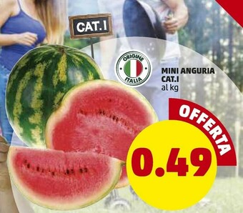 PENNY Mini Anguria offerta