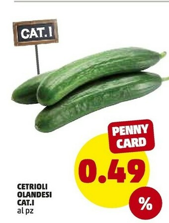 PENNY Cetrioli Olandesi offerta