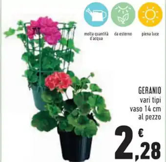 Conad Gerano vari tipi vaso 14 cm al pezzo offerta