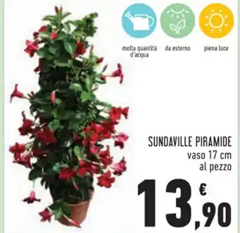 Conad Sundaville Piramide vaso 17 cm al pezzo offerta