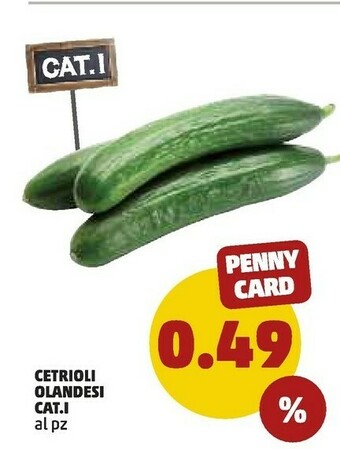 PENNY Cetrioli Olandesi offerta