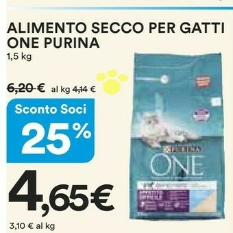 Coop Purina Cibo per gatti offerta