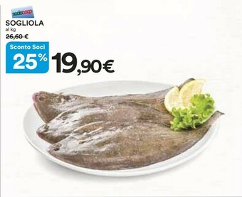 Sogliola