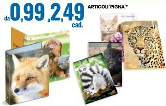 Eurospin Articoli Pigna offerta