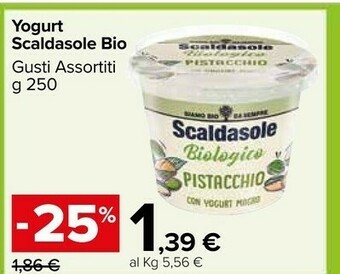 Carrefour Market Scaldasole Yogurt offerta