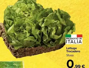 Carrefour Market Lattuga Trocadero Sfusa offerta