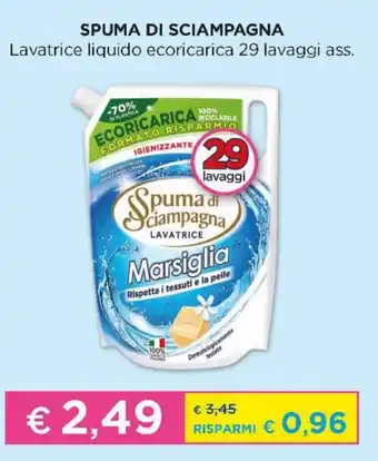 Spuma di Sciampagna Lavatrice liquido ecoricarica 29 lavaggi ass.