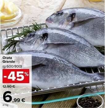 Orata Grande