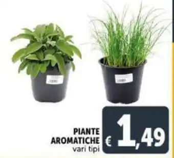 Deco Supermercati Piante Aromatiche vari tipi offerta