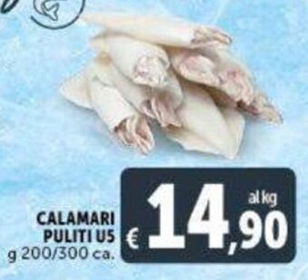 Deco Supermercati Calamari Puliti U5 g 200/300 ca. offerta