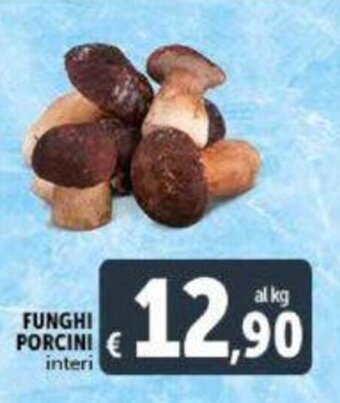 Funghi Porcini interi