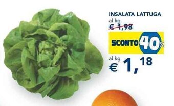 Insalata Lattuga