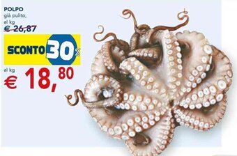 Esselunga Polpo già pulito offerta