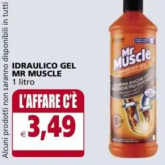 Il Gigante Idraulico gel mr muscle offerta