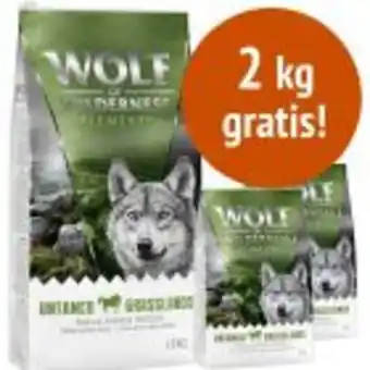 12 kg + 2 kg gratis! 14 kg wolf of wilderness crocchette per cani