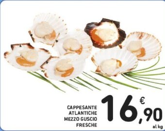 Conad Cappesante Atlantiche Mezzo Guscio Fresche offerta
