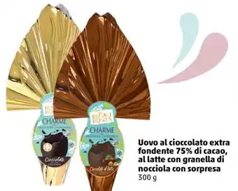 PENNY Uovo al cioccolato extra fondente 75% di cacao, al latte con granella di nocciola con sorpresa 300 g offerta