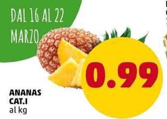 Ananas Cat. I