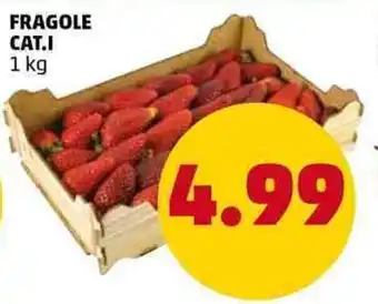 PENNY Fragole Cat. I offerta