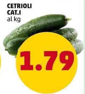 PENNY Cetrioli Cat. I offerta