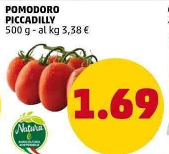 PENNY Pomodoro Piccadilly 500 g offerta
