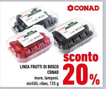 Conad Superstore Conad Linea Frutti Di Bosco more, lamponi, mirtilli, ribes, 125 g offerta