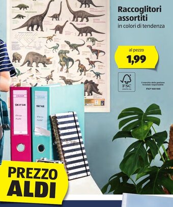 ALDI Raccoglitori assortiti offerta