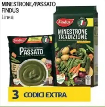 Iper Tosano Findus Minestrone/Passato Linea offerta